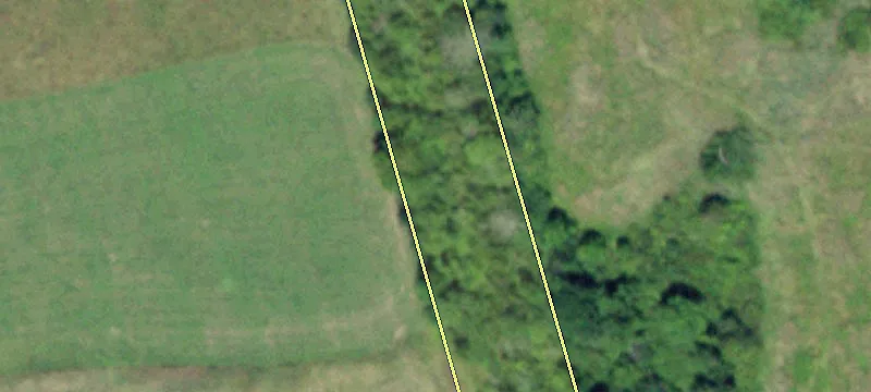 Bell Xing Rd