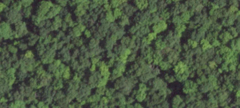Oscaleta Rd