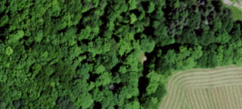 Rexville, NY 14877