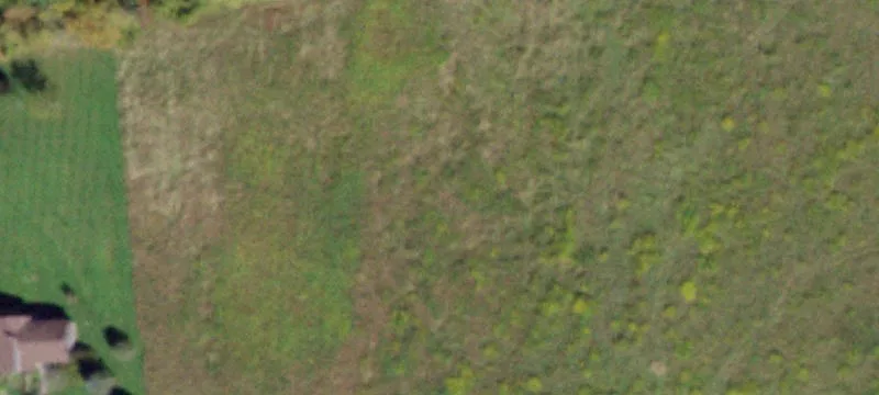 Newark Valley, NY 13811