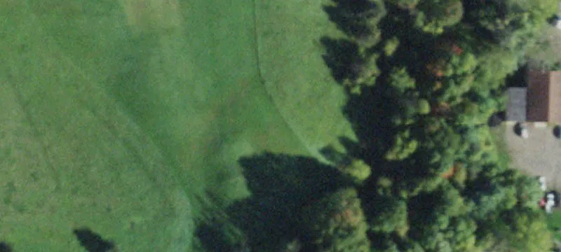 Conesus, NY 14435