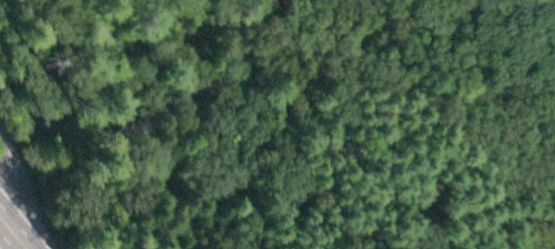 Kingston, NY 12401