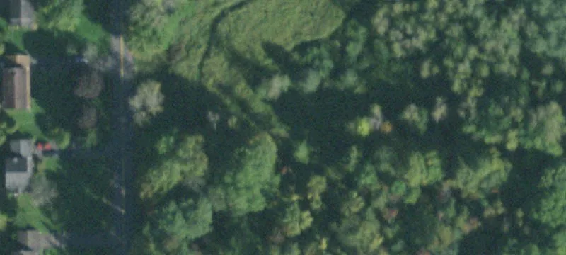 Macedon, NY 14502