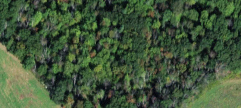Barton, NY 13734