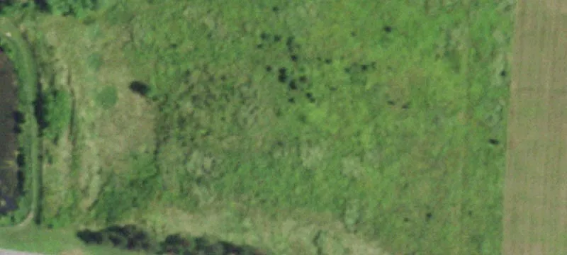 Nys Rte 74