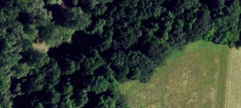 Belmont, NY 14813