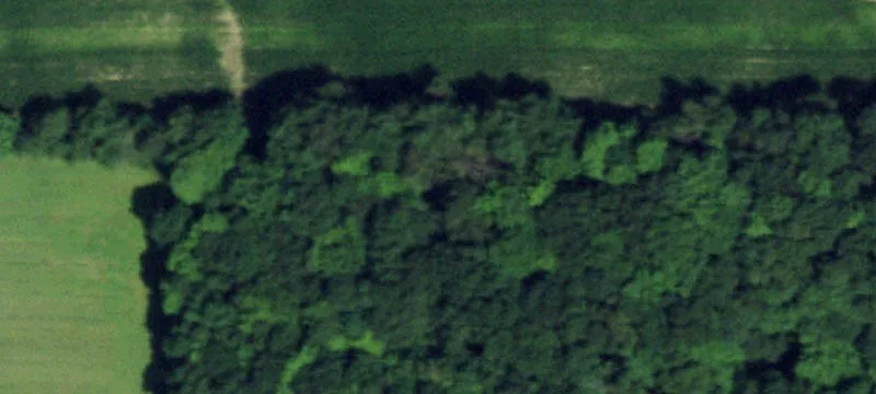 Cherry Creek, NY 14723