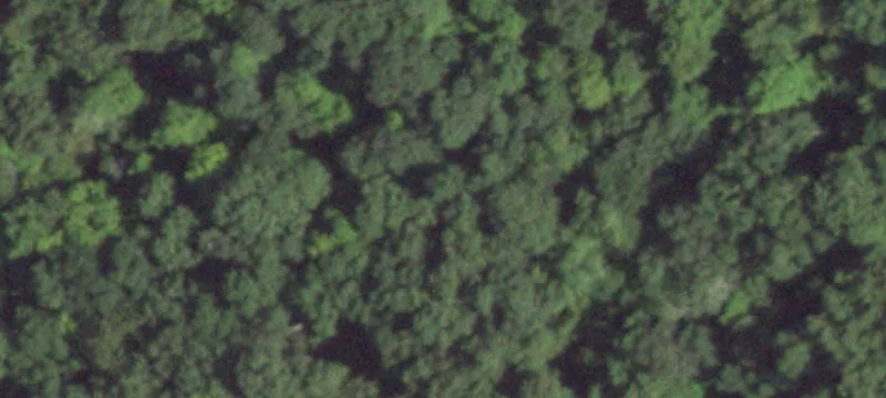 Oscaleta Rd