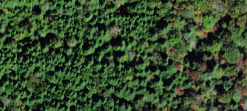 Parksville, NY 12768