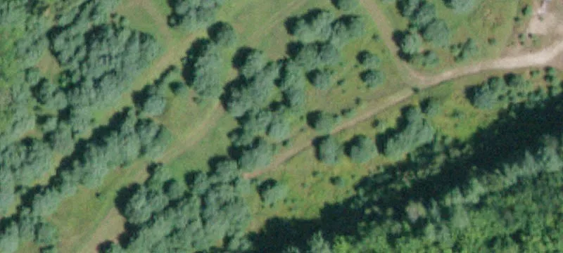 Fish House Rd