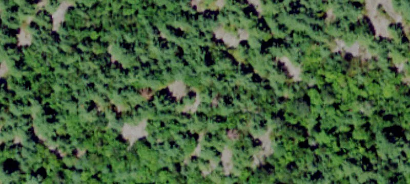 Gouverneur, NY 13642