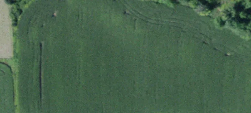Oriskany Falls, NY 13425