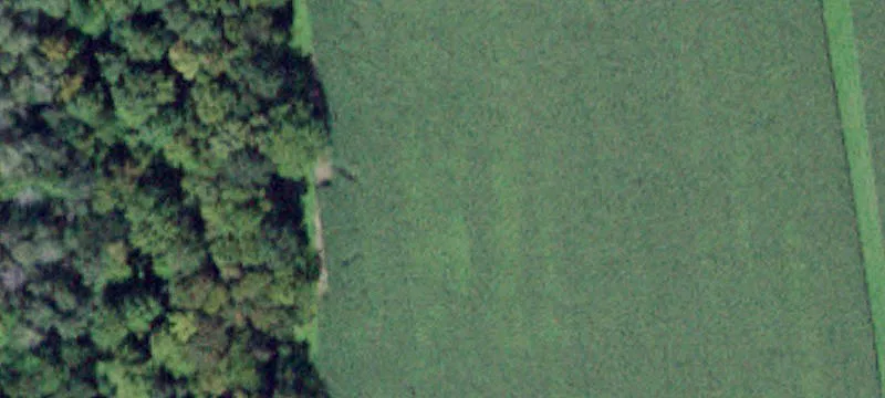 Savannah, NY 13146