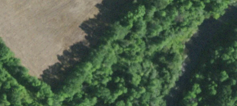 Winthrop, NY 13697