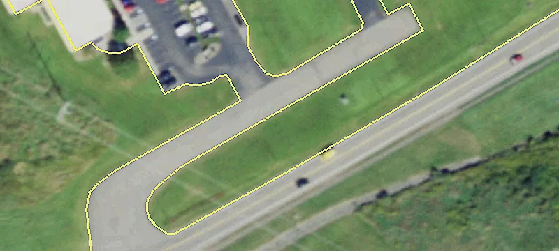 Lynn Morse Dr