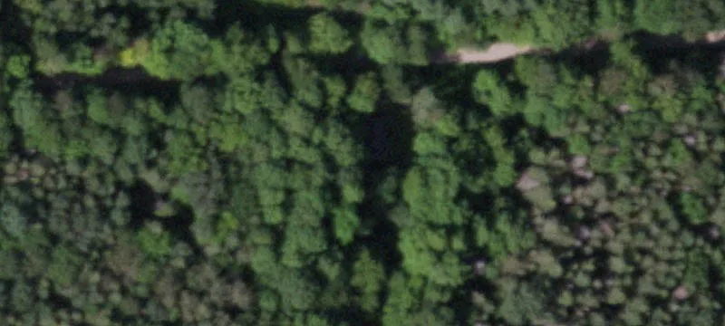Swartz Rd