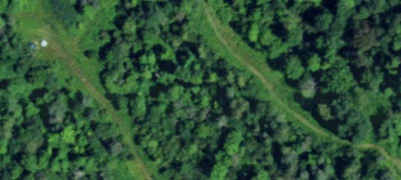  Meadows