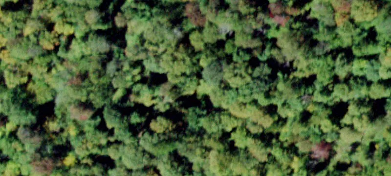 Red Hl Rd