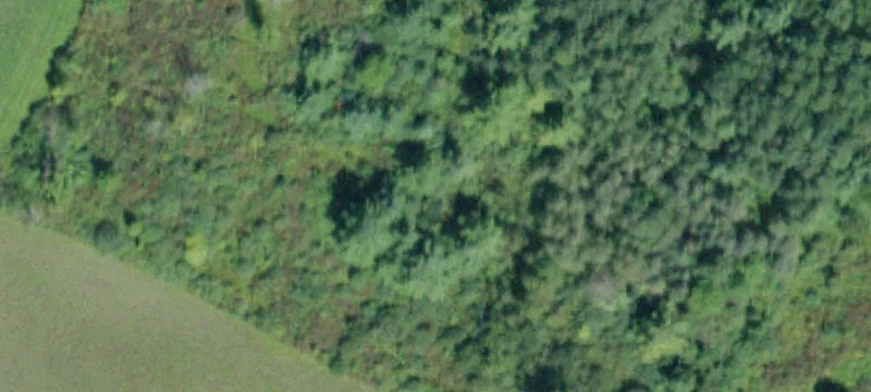 Sprakers, NY 12166