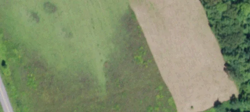 Sharon Springs, NY 13459