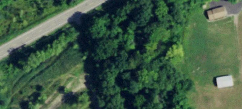 Van Buren Rd