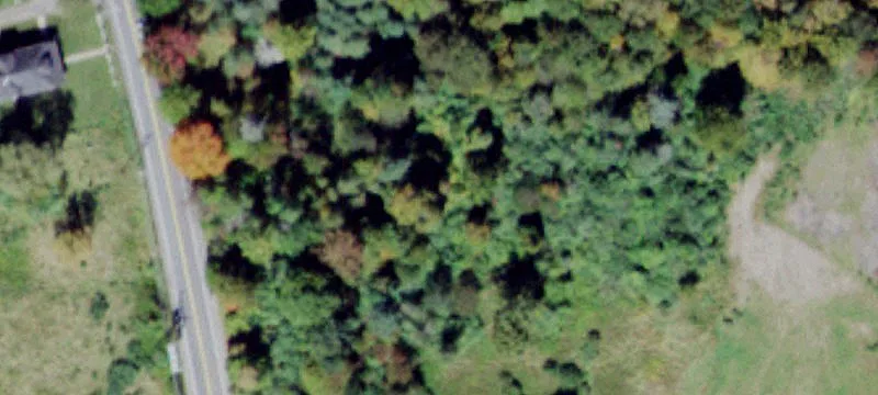 Gln Wild Rd