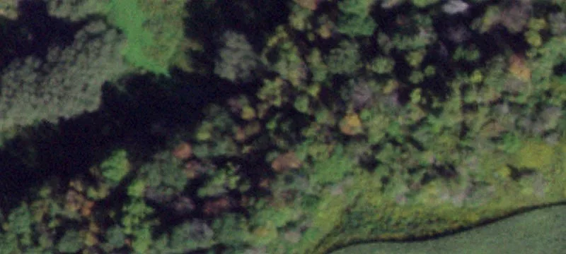 Truxton, NY 13158