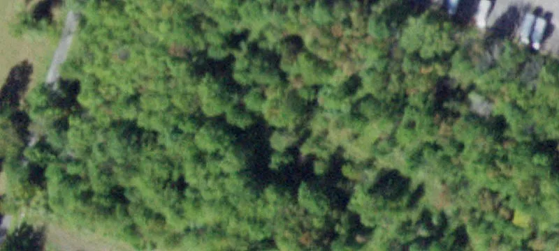 Osprey Ln
