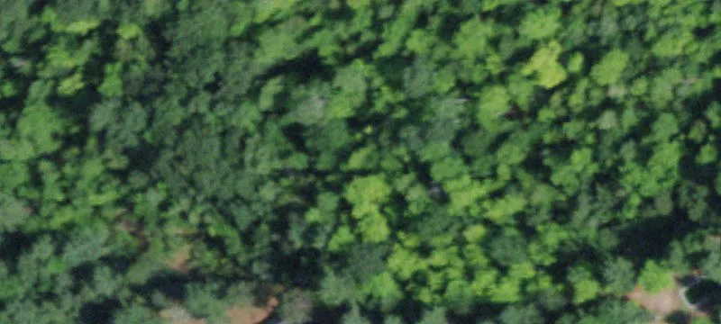 Keene, NY 12942