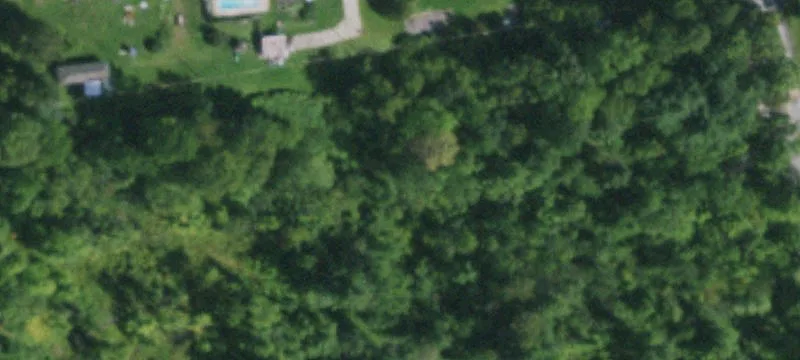 3105 Plank Rd