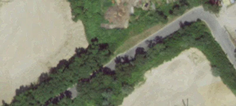 20 Tan Bark Trl