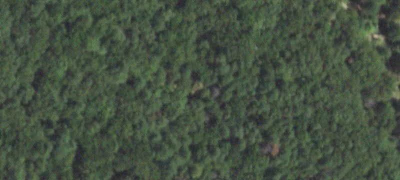 Ml Rd
