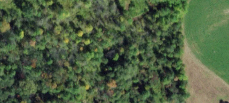 Nn Rd