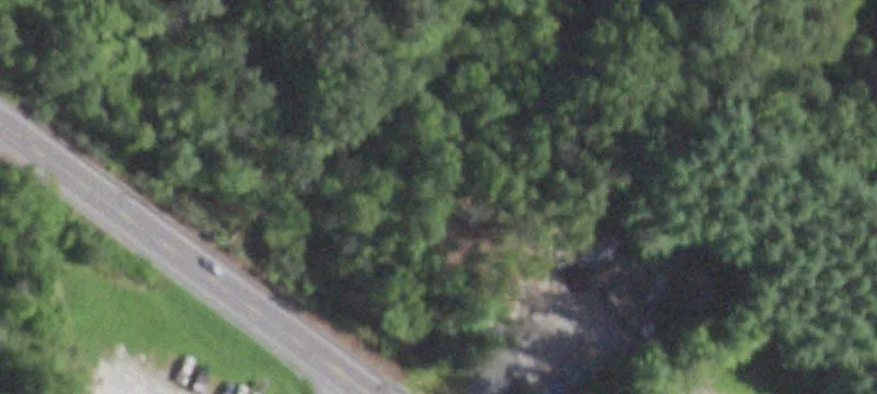 Rte 55