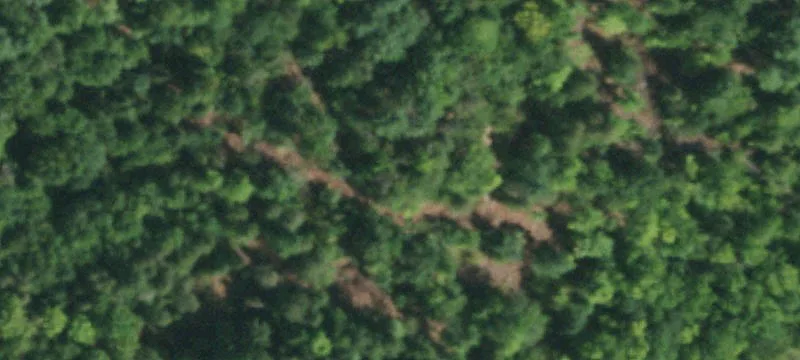 698 Crk Rd