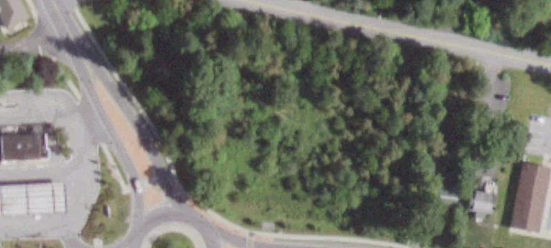 Rte 55