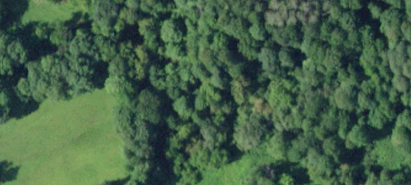 Hillside Mdws Dr