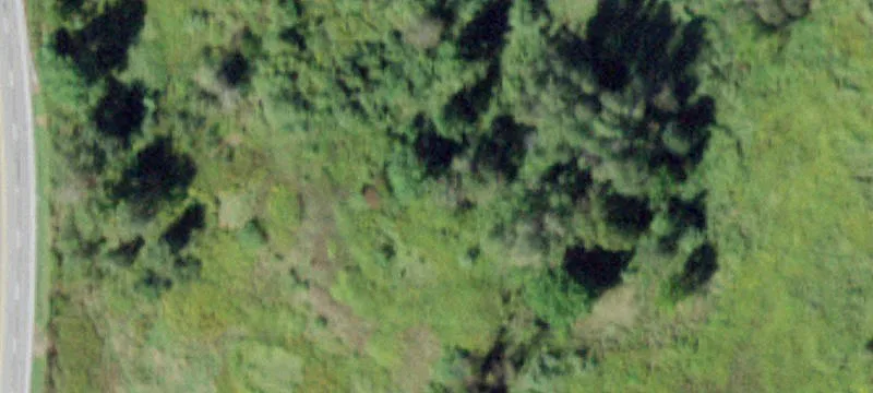 Rte 17