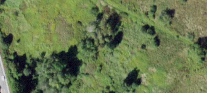 Rte 17