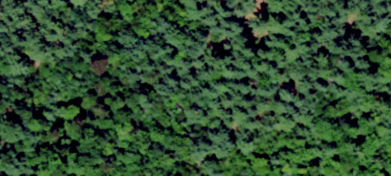 Gouverneur, NY 13642