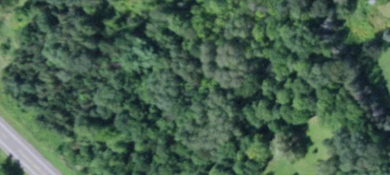 Sutliff Rd