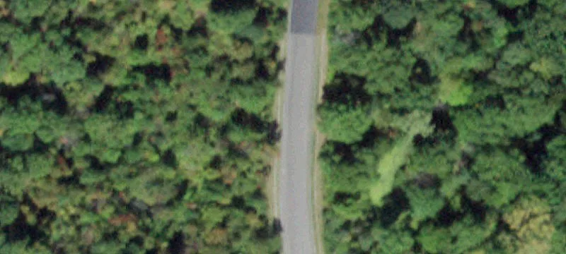 New Paltz, NY 12561
