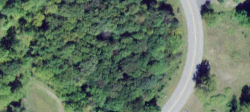 Rykowski Ln