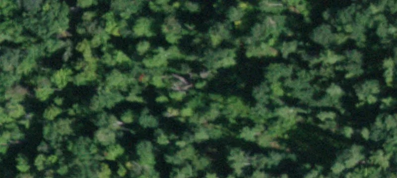 164 Shippee Rd