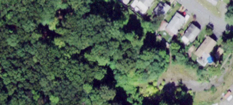 Phyllis Dr