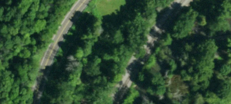 Nys Rt 394