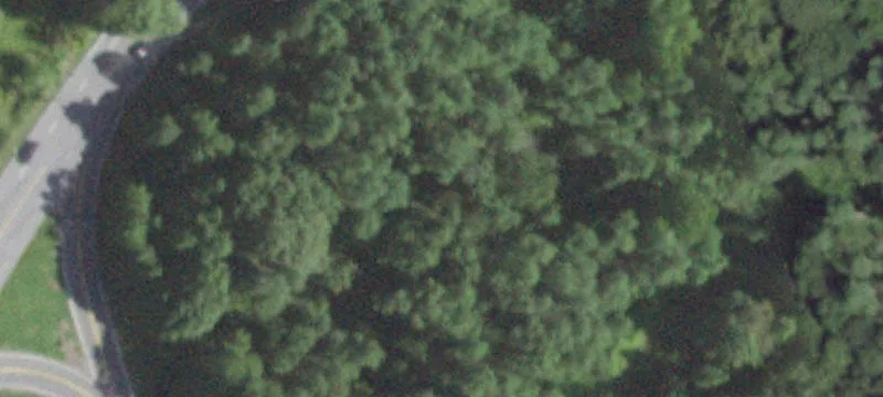 Rte 44