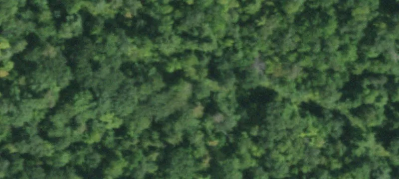 Hague, NY 12836