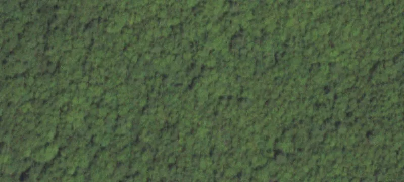 Timber Trl Ln
