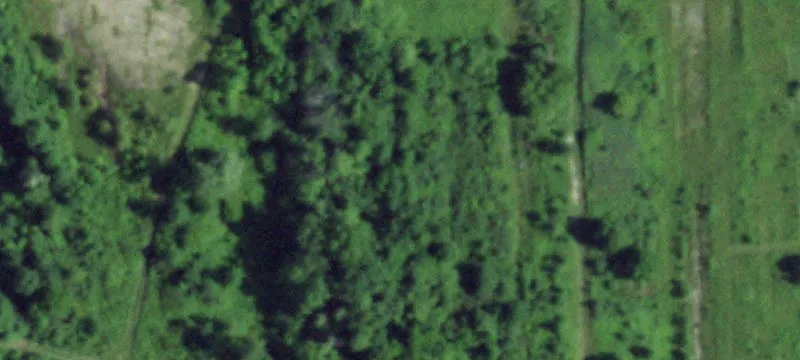 State Rte 247